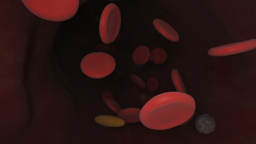 Названы обладатели группы крови с самым сильным иммунитетом