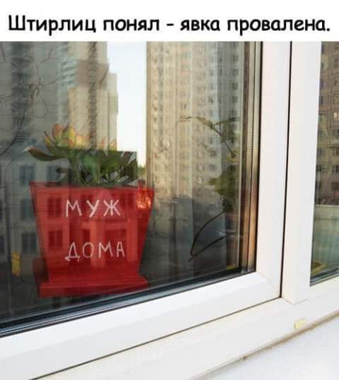 Объявление: Охраняю дом лучше любой собаки Объявление: Охраняю дом лучше любой собаки анекдоты,веселье,демотиваторы,приколы,смех,юмор