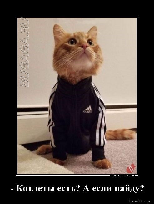 Демотиваторы – приколы: «Картинка со вкусом и запахом»  