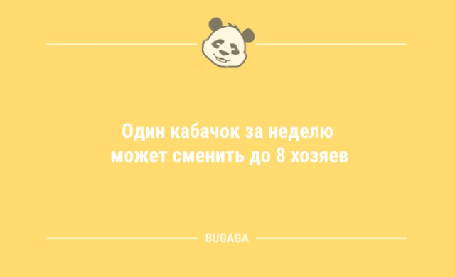 Анекдоты для всех: «Кто в тетрис не играл…» Анекдоты для всех: «Кто в тетрис не играл…»