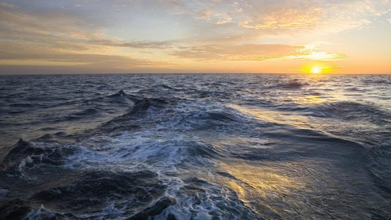 Российские учёные открыли ранее неизвестные природные течения в Атлантическом океане