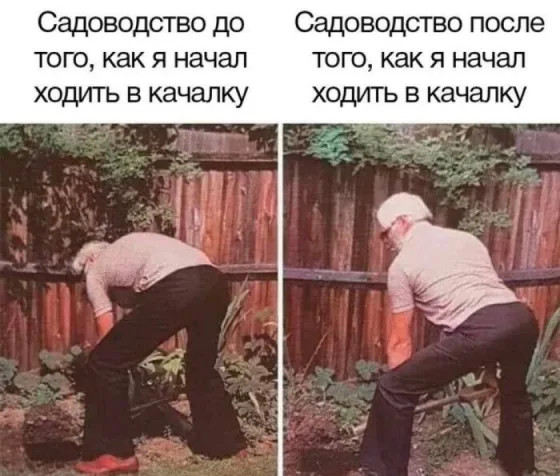 Срочно в номер! Самые смешные картинки и позитивные фото для вашего настроения