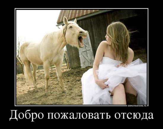 Прикольные и ржачные демотиваторы о женской логике гарантированно поднимут настроение 