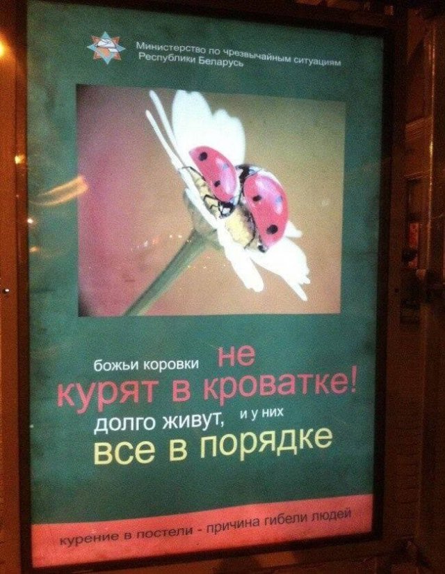 Смешные вывески и решения маркетологов Смешные вывески и решения маркетологов позитив,смешные картинки,юмор