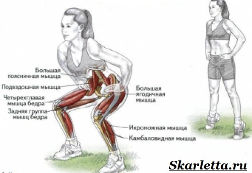 Упражнения-для-красивой-фигуры-9