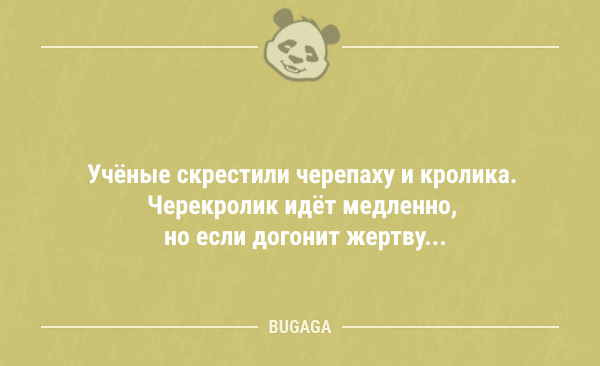 Смешные анекдоты в середине недели 