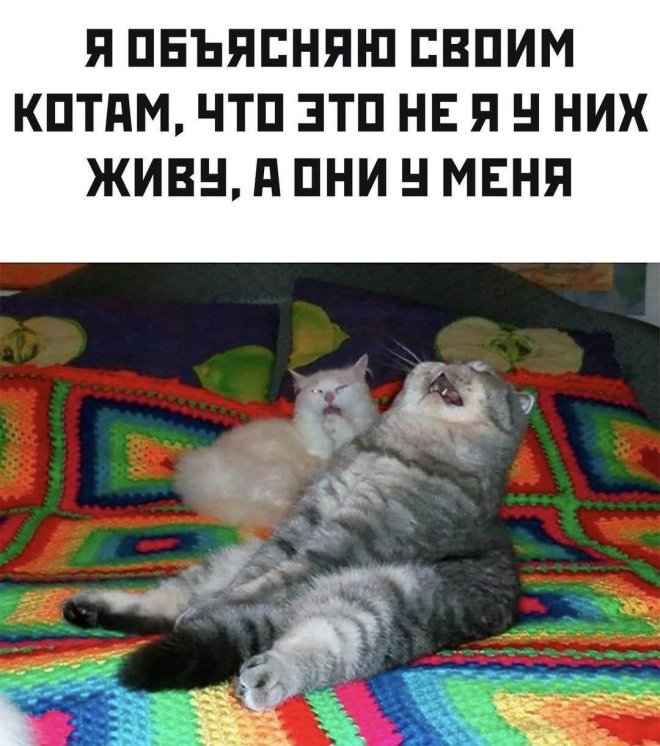 Сделав умное лицо, молчи, не выдавай себя словами! Сделав умное лицо, молчи, не выдавай себя словами!
