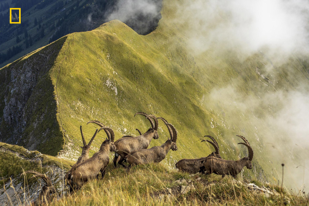 Призеры фотоконкурса National Geographic Travel Photographer 2019