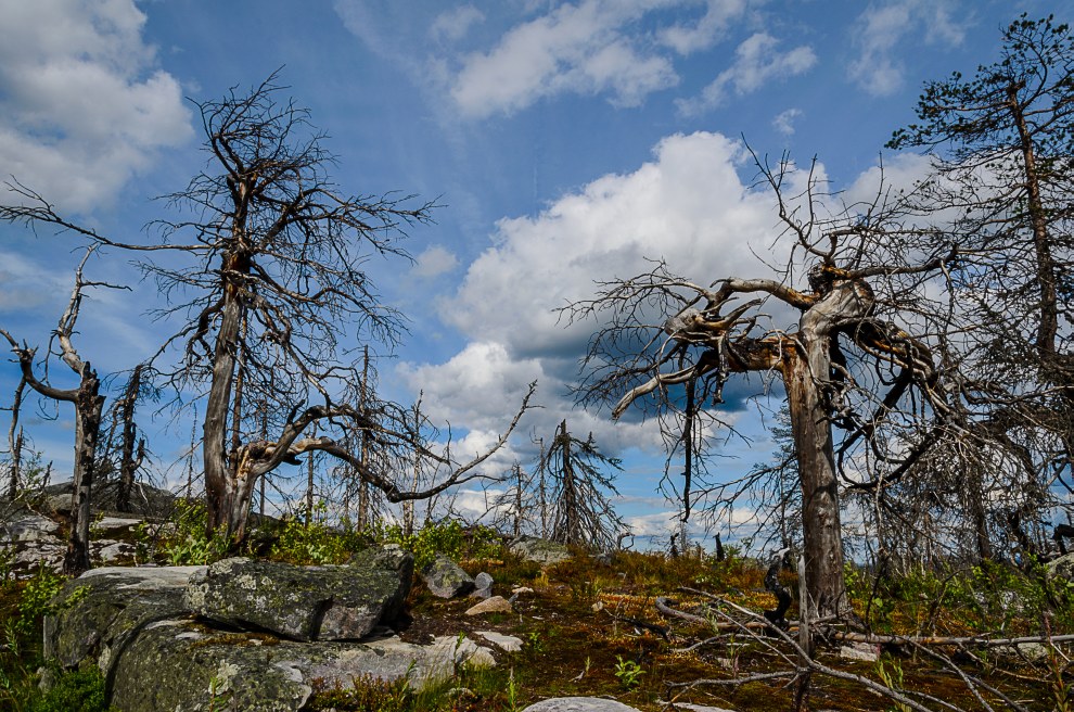 Одно из самых загадочных мест на Земле — гора Воттоваара, Карелия Одно из самых загадочных мест на Земле — гора Воттоваара, Карелия археология