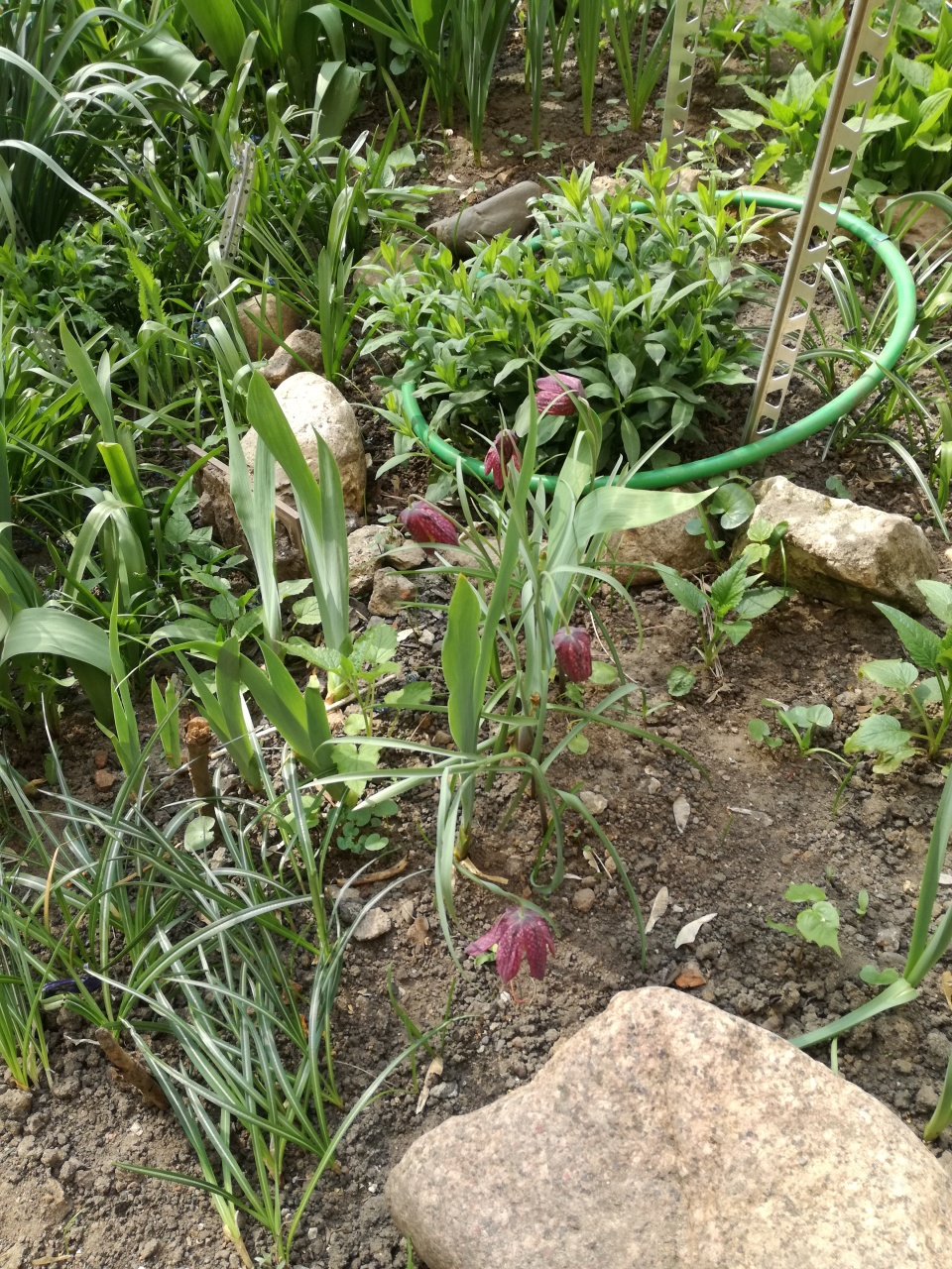 Красота своими руками.