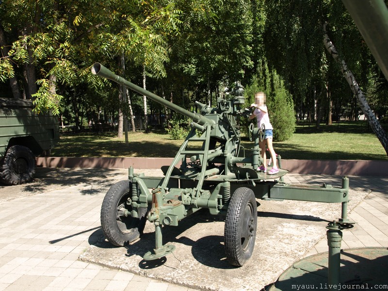 Военная история о  рыжем котёнке с хорошим слухом Великая Отечественная война,история,оружие,СССР