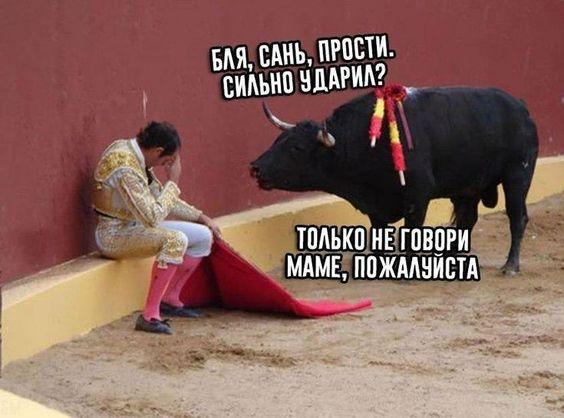 Смешные до слез хорошие картинки 