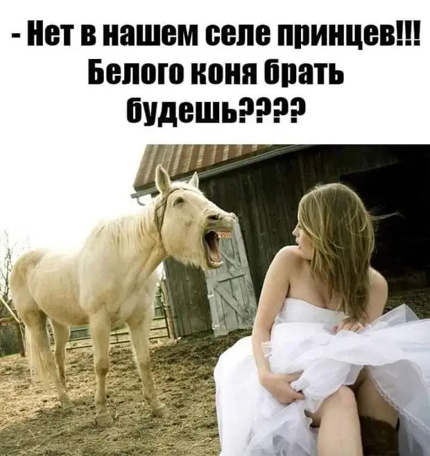 Пьяный, ночью, позвонил бывшей, дабы извиниться, что накануне пьяный, ночью звонил ей Пьяный, ночью, позвонил бывшей, дабы извиниться, что накануне пьяный, ночью звонил ей наутро, понял, никогда, прошлой, свинья, говорила, сказала, ночью, такой, француз, итальянец, постели, будет, следить, только, грязной, проблемы, вопрос, разумную, уступитьЛежит
