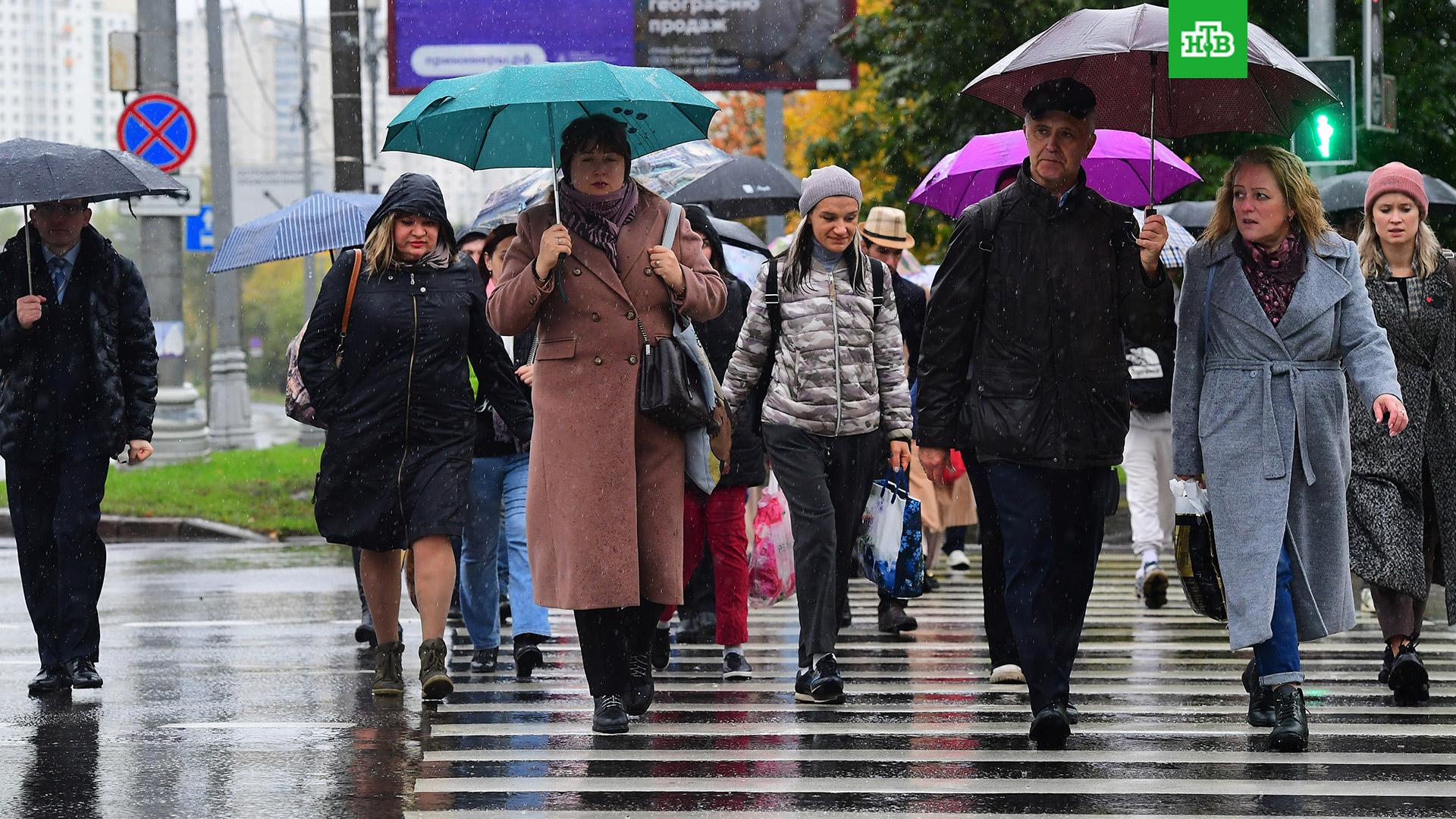Москвичей предупредили о дожде в субботу