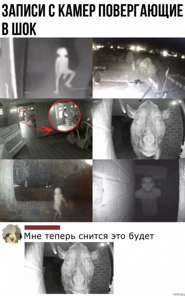 25 приколов сентября из социальных сетей 25 приколов сентября из социальных сетей позитив,смешные картинки,юмор