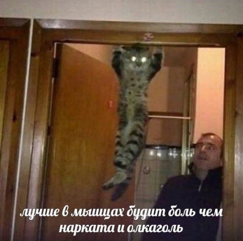 Фото-приколы дня Фото-приколы дня