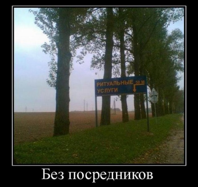 Прикольные демотиваторы для всех: «Так вот ты какая, птица счастья!»