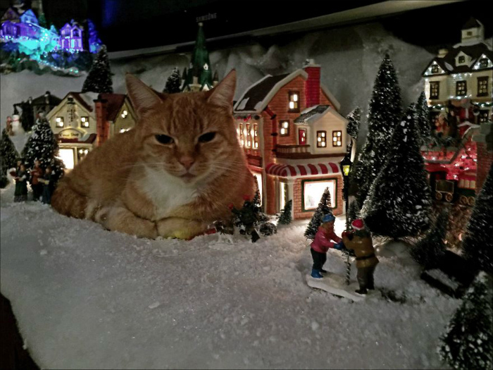 Гигантский кот в новогодней композиции.