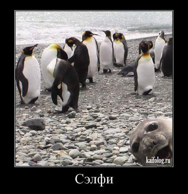 ОТПУСК/КАНИКУЛЫ ОТПУСК/КАНИКУЛЫ