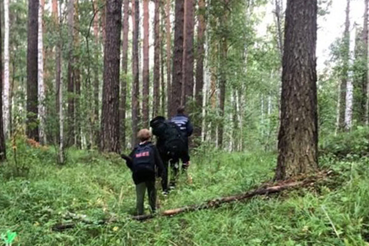 В Красноярском крае нашли пропавшую шестилетнюю девочку