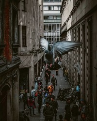 Поразительные городские снимки Альфонсо Леона 