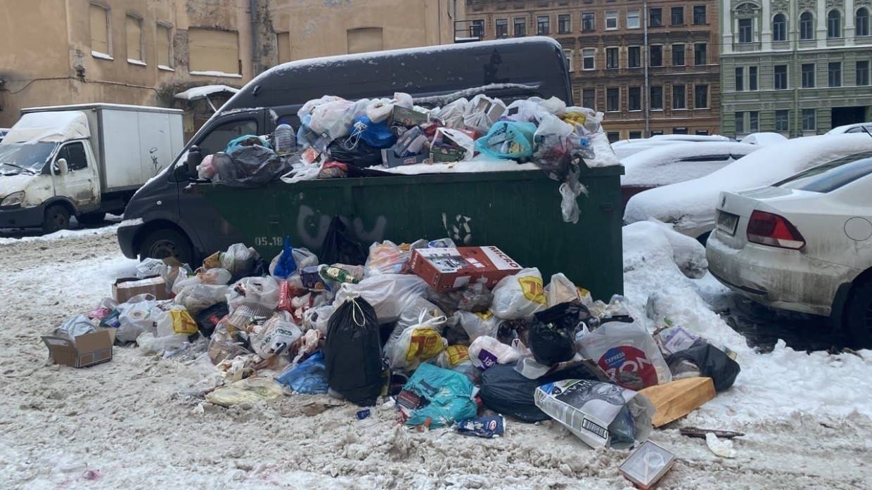 Эпидемиолог Онищенко: мусорный коллапс в Петербурге может стать причиной болезней