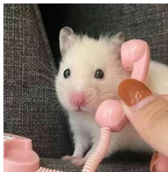 Очередные мошенники...