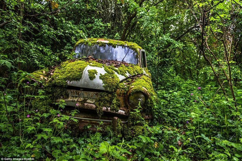 4. Фото ржавого автомобиля, заросшего мхом, было сделано французским фотографом Антуаном Жакьё заброшенное, заброшенные места, заброшенные объекты, интересное, находки, подборка, разрушенное, фото