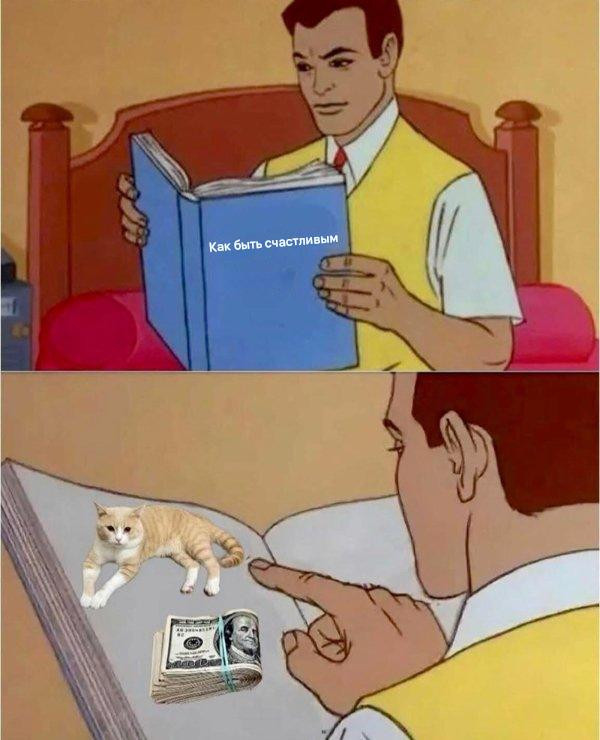 Прикольные мемы для тех, кто любит кошек: «Странный шум внизу…» 