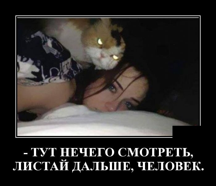 Демотиваторы на понедельник 22 октября 