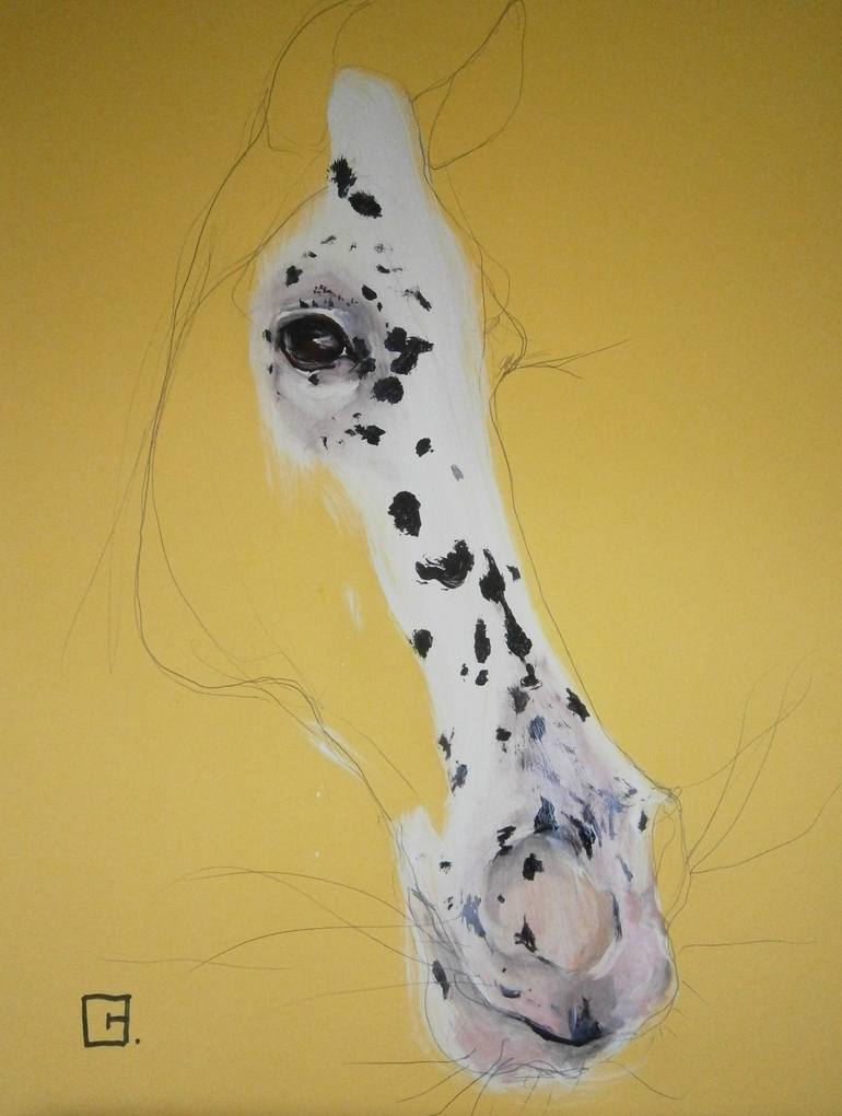 Иллюстрации Ольги Галь 