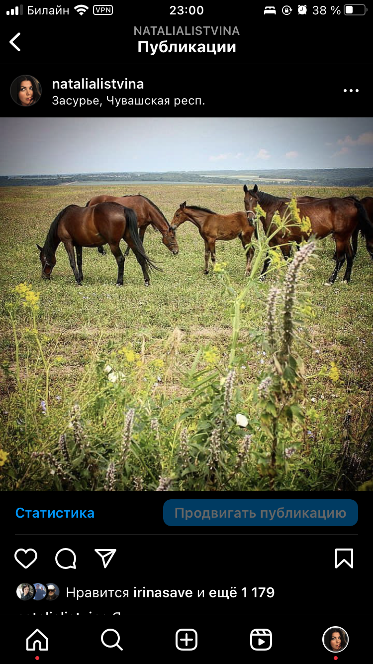 Засурье