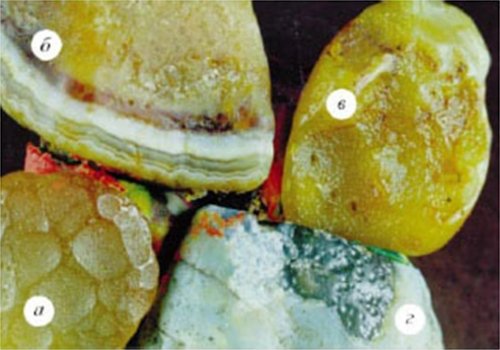 ОТКРЫТИЕ КРЕМНИЕВОЙ ФОРМЫ ЖИЗНИ  НА ЗЕМЛЕ  