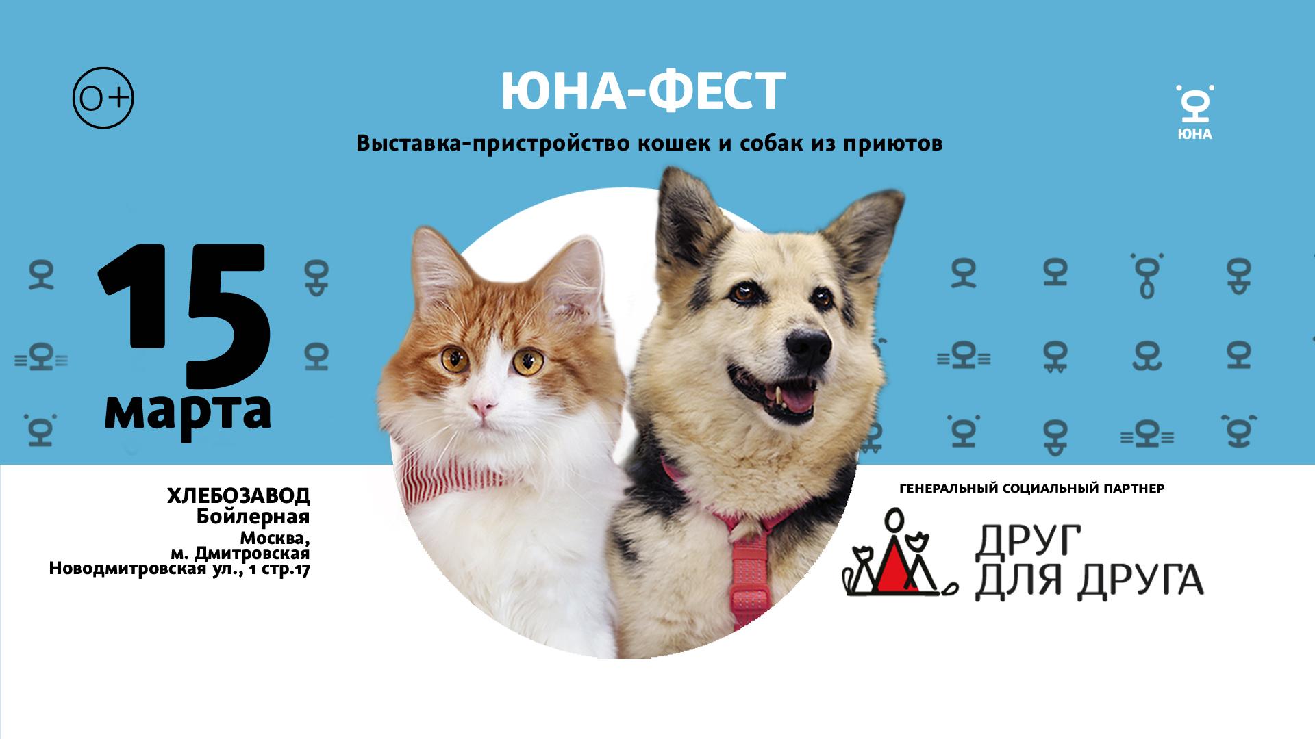 Много животных на выставке