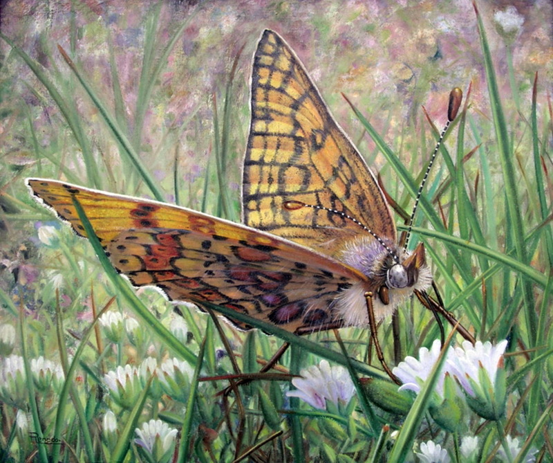 Сказка о старых вещах. Художник Ricardo Renedo.