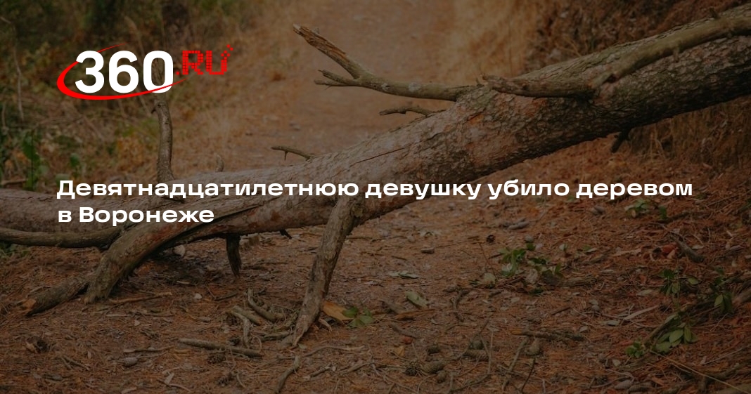 СК: в Воронеже 19-летняя девушка, на которую упало дерево, скончалась в больнице