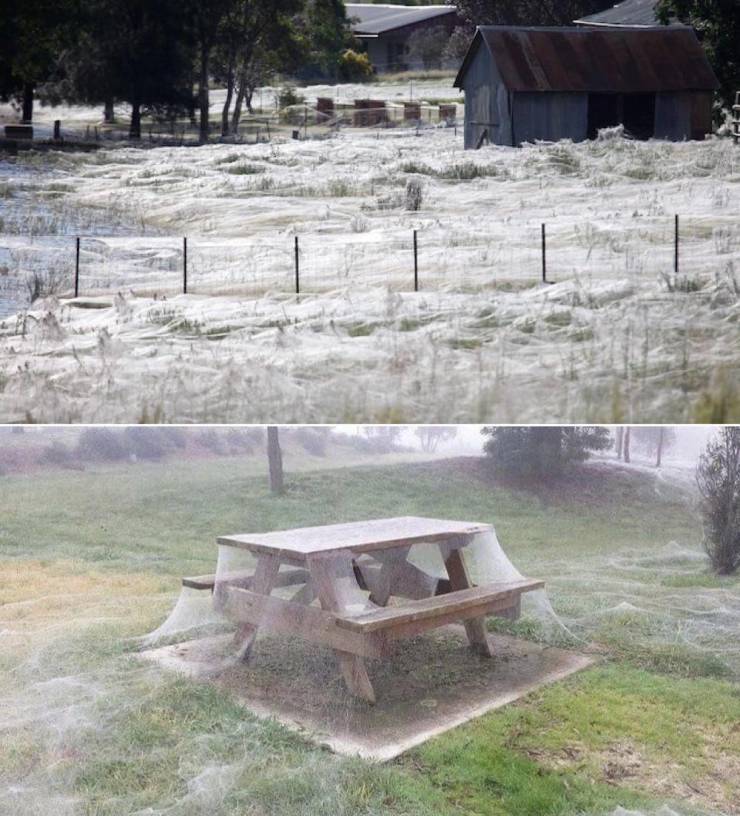 Подборка прикольных картинок  приколы,смешные картинки,юмор