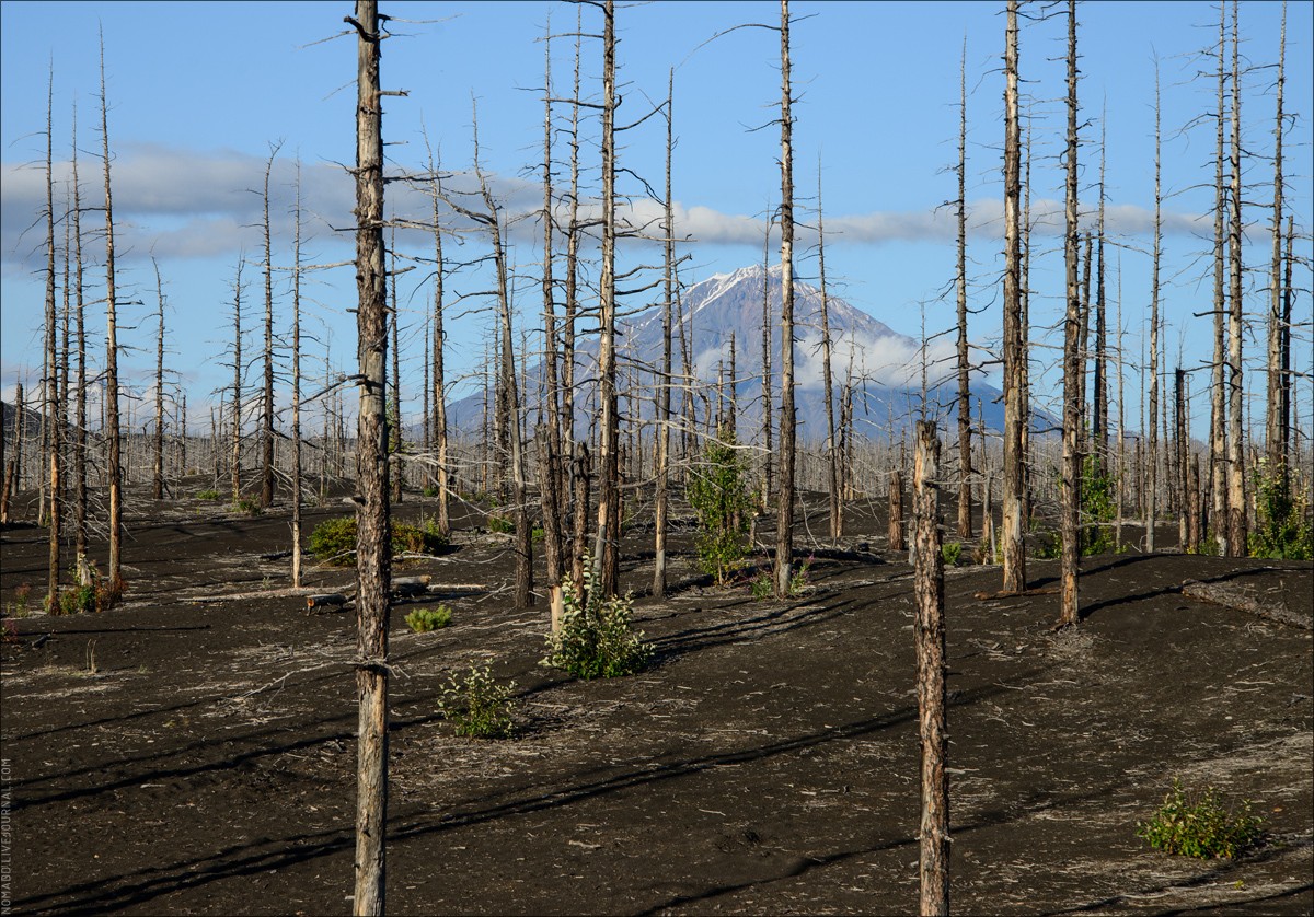 Kamchatka Dreaming — большое камчатское путешествие Толбачик, очень, Зимина, Плоский, Толбачика, километров, десятка, 1975−1976, вулканов, легко, какойто, вулканическим, Ключевского, извержения, в радиусе, поэтому, солнца, только, последствия, часов