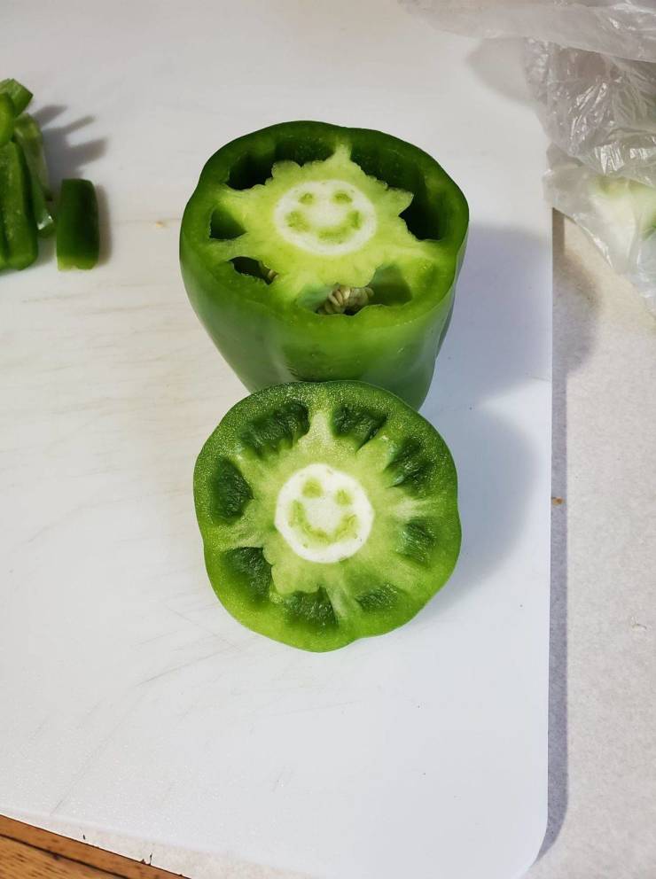 Подборка прикольных картинок  приколы,смешные картинки,юмор