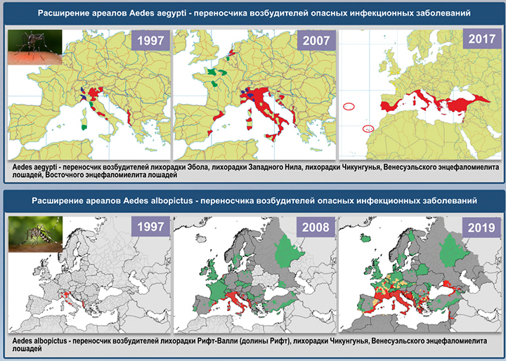 КОШМАР, ПОХОЖИЙ НА ШУТКУ: РОССИЮ АТАКУЮТ БОЕВЫМИ КОМАРАМИ БИЛЛА ГЕЙТСА геополитика,расследование