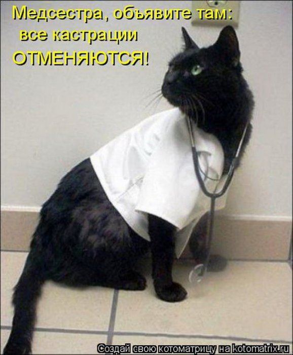 Мысли вслух :)