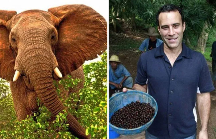 Самые дорогие и необычные продукты в мире