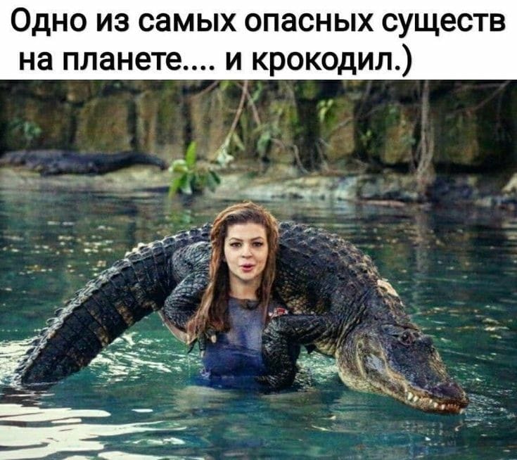 Возможно, это изображение (1 человек и текст «одно из самых опасных существ на планете.... и крокодил.)»)