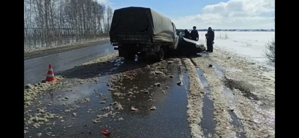 Водитель «Приоры» погиб в столкновении с грузовиком в Ряжском районе