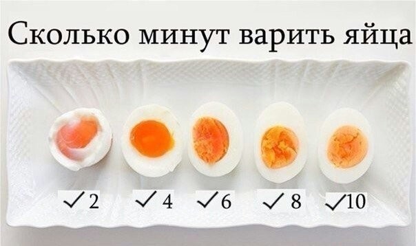 Очередная подборка картинок с подписями картинки с подписями, подборка, юмор