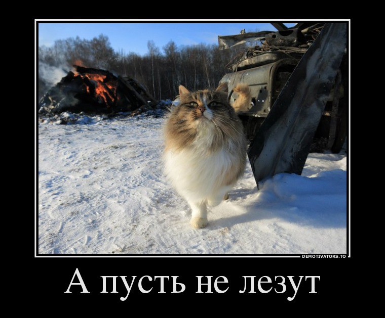 Зачетные и смешные демотиваторы для веселья и хорошего настроения свежие демотиваторы ржака