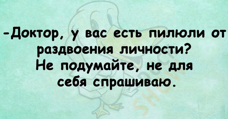 Прекрасное начало летнего дня – подборка веселых анекдотов 