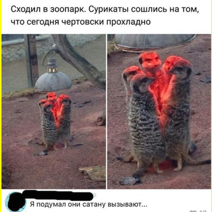 Вечерний юмор в картинках 