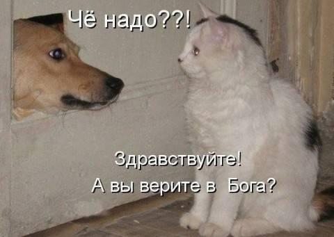 Я не подкаблучник! Что хочу, то и делаю. Хочу стираю, хочу пол мою! анекдоты,веселые картинки,демотиваторы,юмор