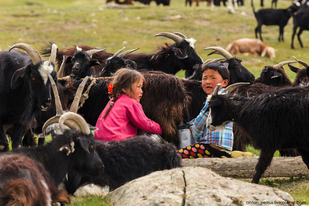 Самое красивое озеро Монголии природа,Путешествия,фото